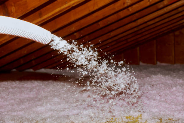 Best Insulation for Specific Applications in Palmview South, TX
