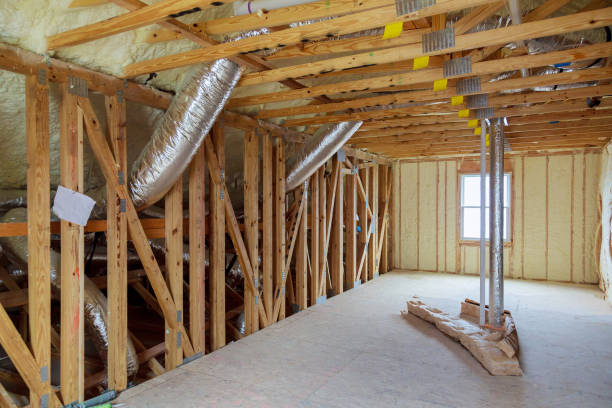 Best Residential Insulation in Palmview South, TX