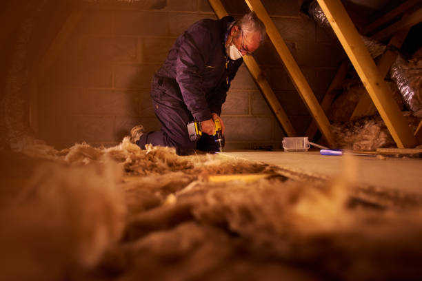 Best Insulation Maintenance and Repair in Palmview South, TX